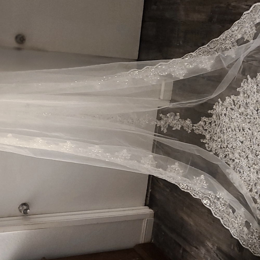 cathedral veil. Beautiful custom made.